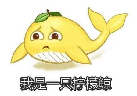 2020年都來了 2019三十大最火網(wǎng)絡(luò)流行語熱門梗新詞你盤明白沒