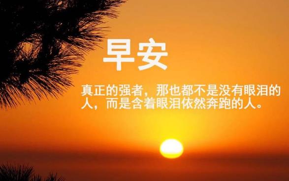 2020網絡勵志潮語 2020年正能量網絡流行語 感恩是一種生活態度