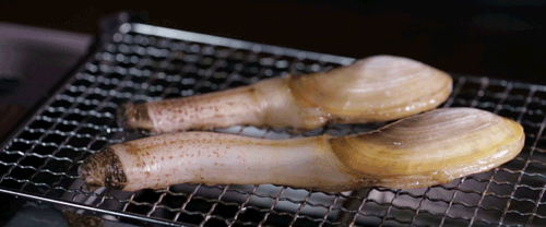 象拔蚌是什么意思什么梗?象拔蚌污內涵 世上最下流的海鮮形似男人丁丁