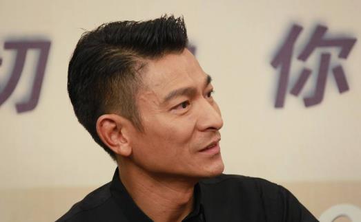 劉德華個人資料簡介 天王劉德華圖片 劉德華演過的電影