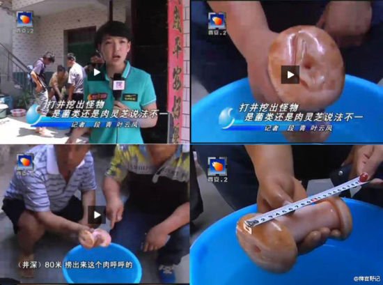 最純情女記者:西安女記者把自慰器稱為“肉靈芝”