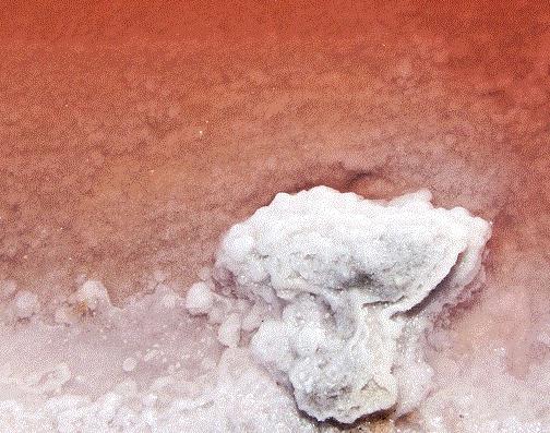 �����@�F��Ѫˮ��������ˮ��t����ˮ�е��}�Y��