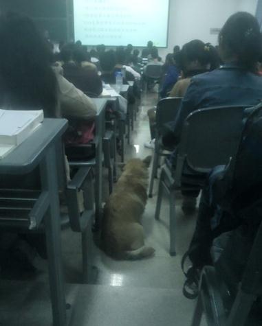 ���W�Թ�����ӿƼ���W���n�߼t�����Ӣ�Z�͸��ʾW����ͦ�x��