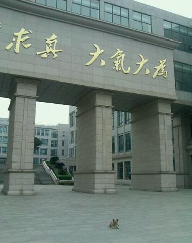 ���W�Թ�����ӿƼ���W���n�߼t�����Ӣ�Z�͸��ʾW����ͦ�x��