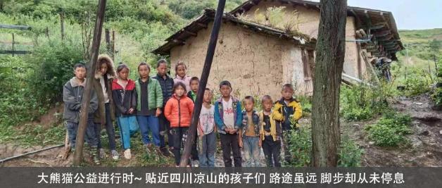 大熊貓在四川大涼山,這個我們不能落下的地方!大熊貓舊衣服回收