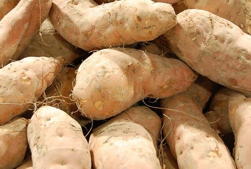 紅薯營養豐富，但屬于堿性食物，吃多了會“燒心”