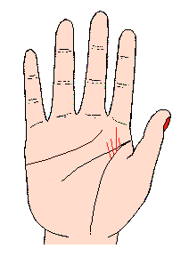 命運線起于生命線中央上部