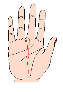 命運線若從感情線一帶短短地往上升起的話