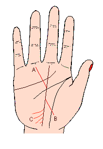 從命運線伸出向上的支線