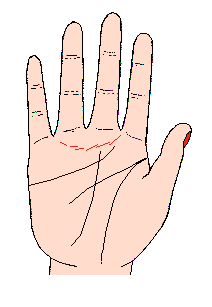 金星帶又名(金星線),感情線上方