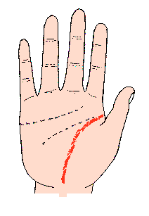 生命線圖解：生命線由長短不規則的斷線成立