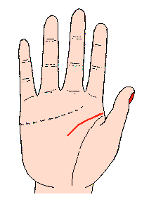 智慧線圖解:頭腦線很短