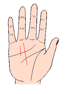 太陽(yáng)線圖解:手相太陽(yáng)線算命圖解