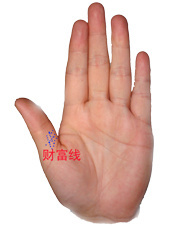財富線圖解：手相學(xué)之財富線算命圖解