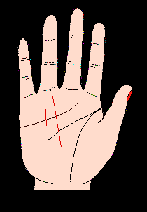 手相太陽線，太陽線圖解，手相太陽線算命圖解