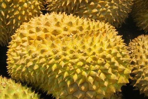 如何挑選榴蓮?吃榴蓮的注意事項