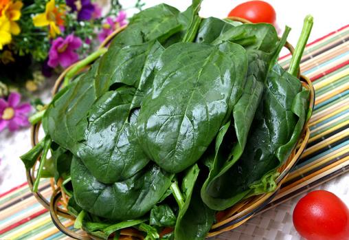 肺結核病人不宜多吃菠菜