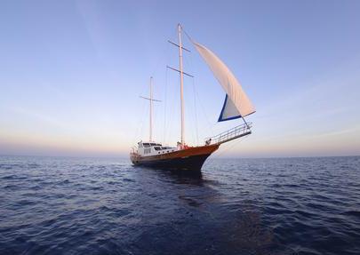 7月11日是什么節日？中國航海日是幾月幾日？中國航海日的由來