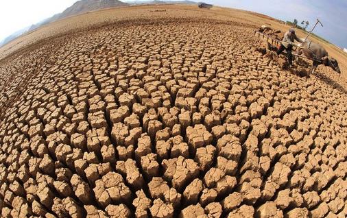 6月17日是什么節(jié)日?世界防治荒漠化和干旱日