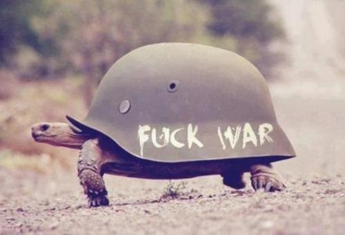 世界停火日是幾月幾日?世界停火日的發起人是誰