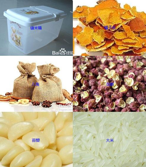 如何防止大米生蟲子?防止大米生蟲子的做法