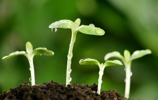 9月10日是什么節日？世界預防自殺日是幾月幾日