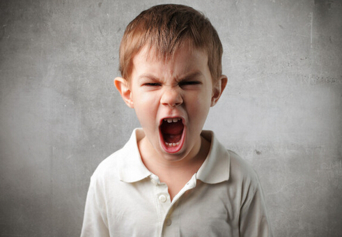 飲食過于油膩會讓性格變得暴躁