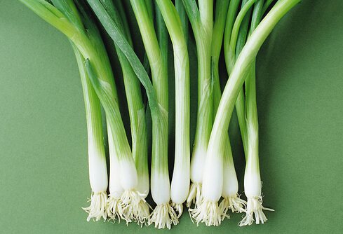 蔥并非百搭-什么情況不能吃蔥？