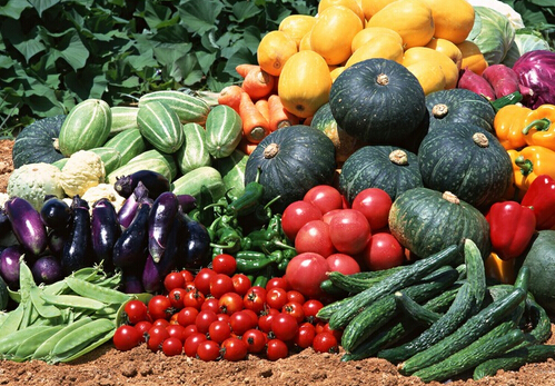 不要相信豆?jié){是高鈣食品-揭秘補鈣謊言