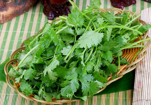 感冒病人飲食要適量-感冒不能吃什么？