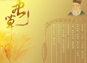 冬蟲夏草是什么？冬蟲夏草的功效與作用及食用方法
