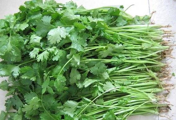 香菜有什么樣的營養價值?香菜的營養價值-香菜的功效與作用