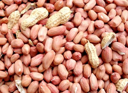 吃花生米有什么好處?花生米的營養價值
