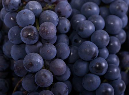 晚上吃葡萄會發胖嗎？多吃葡萄會長胖嗎