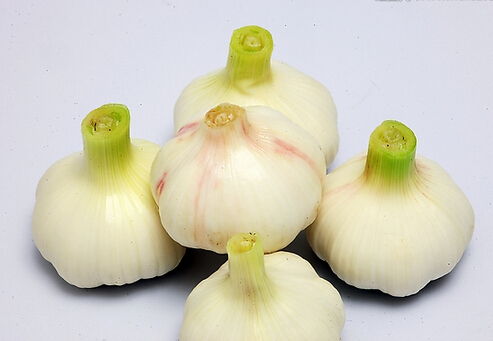 怎么吃大蒜才能有效預防癌癥?