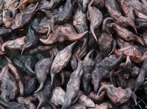 菱角的營養價值,菱角的功效,菱角的作用