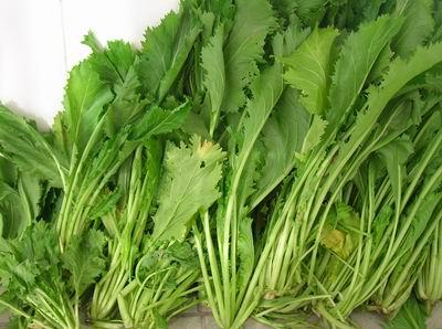 雪里紅的營(yíng)養(yǎng)價(jià)值-雪里紅的食療作用