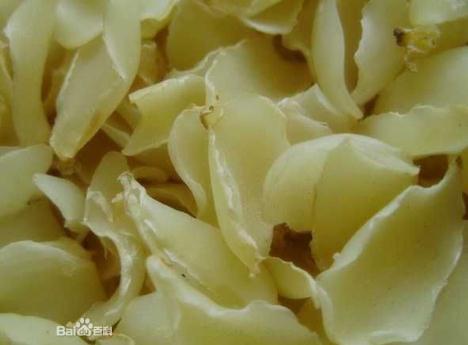 百合的功效與作用-百合的營養(yǎng)價(jià)值