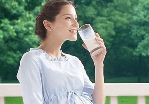 孕婦應保持每天一杯奶