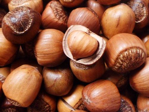 榛子的營養價值-榛子的功效與作用