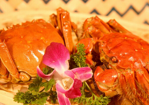 大閘蟹的營養價值與功效-大閘蟹怎么吃?