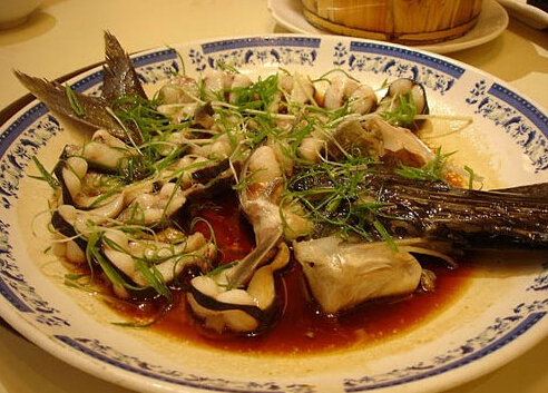 鴨嘴魚是什么?鴨嘴魚的營養價值