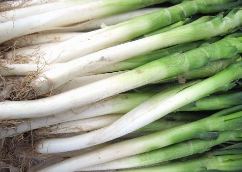 蔥的營養(yǎng)價值-蔥的功效與作用