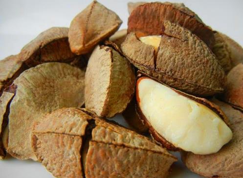 鮑魚(yú)果的營(yíng)養(yǎng)價(jià)值-鮑魚(yú)果的功效與作用