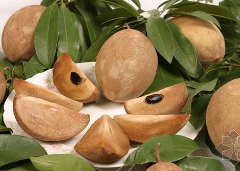 人心果的營(yíng)養(yǎng)價(jià)值-人心果的功效與作用