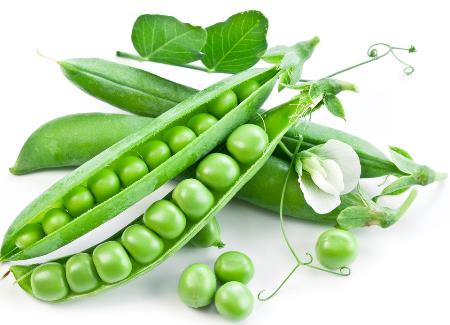 吃豌豆有什么好處？豌豆的功效與作用及禁忌