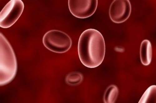 貧血怎么補血?貧血的人吃什么好?女性貧血的癥狀原因