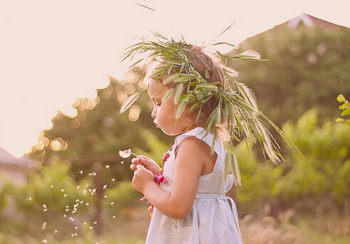 夏天如何養陽?適合夏日養陽的食材