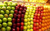 女性經期必吃的營養食物