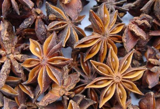 如何辨別假大料？真假大料的鑒別方法